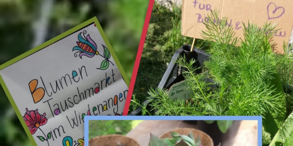 Pflanzentauschmarkt am 01. Mai 2023